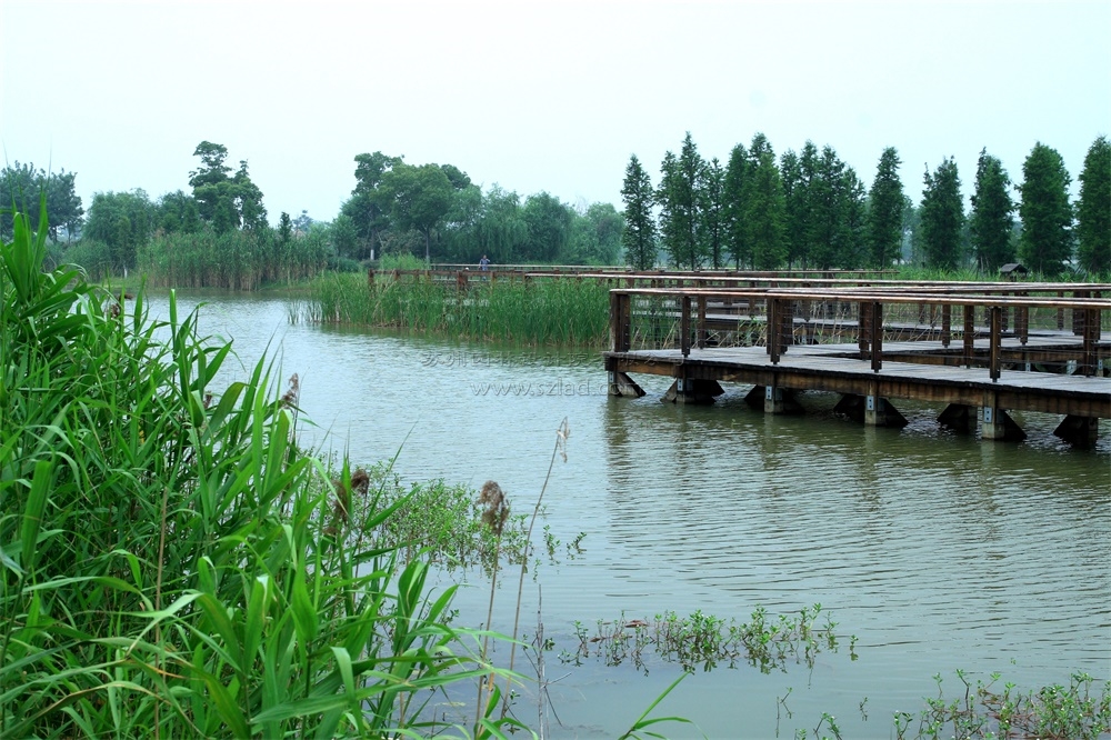 image010