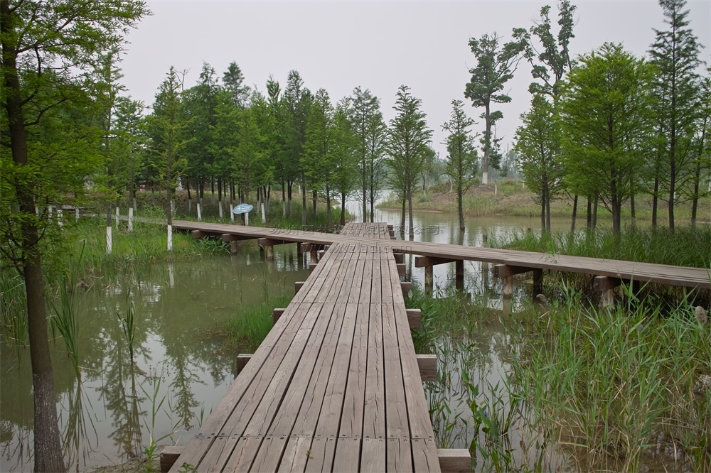 image013